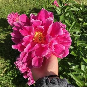 Meet your Posher, Caitlin